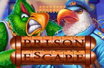 Prison Escape